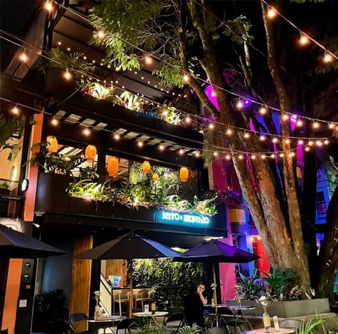 Nighttime outdoor venue with string lights, neon signage, and colorful purple and orange uplighting on trees and building structure
