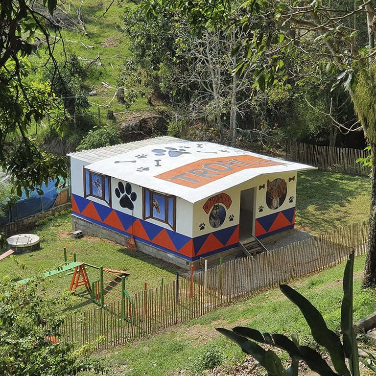 Colorful shipping container converted into a playhouse with blue and orange geometric designs, surrounded by wooden fence in a green garden